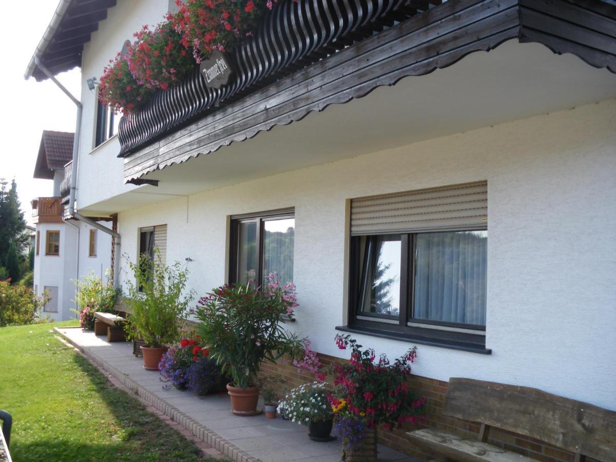 שוטן Pension Haus Ludwig מראה חיצוני תמונה